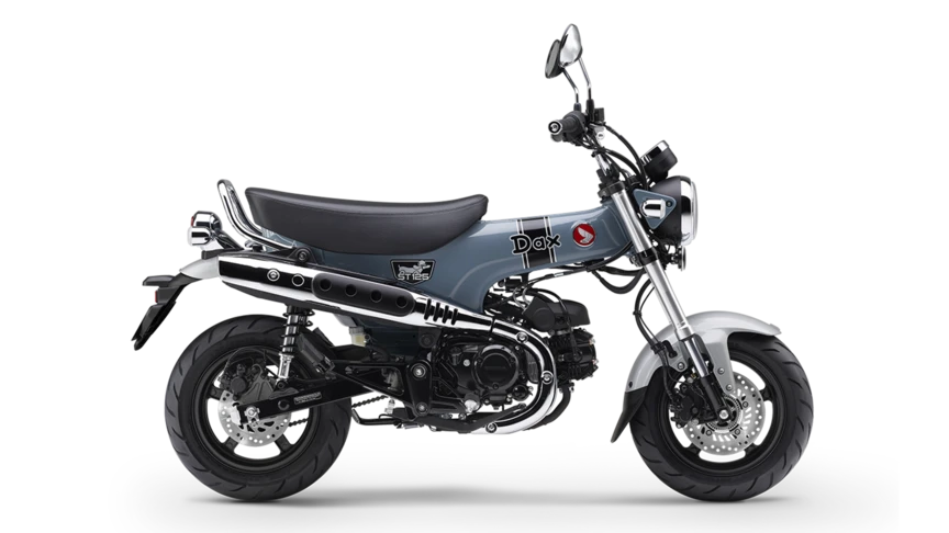 DAX 125 2025