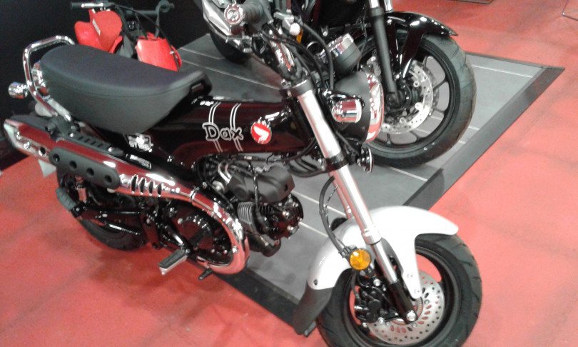 dax st 125 - CHAMPIGNY-SUR-MARNE